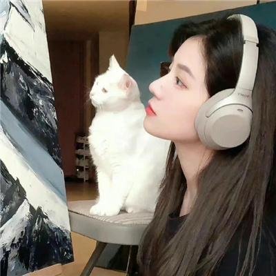 美丽的黄昏 封面