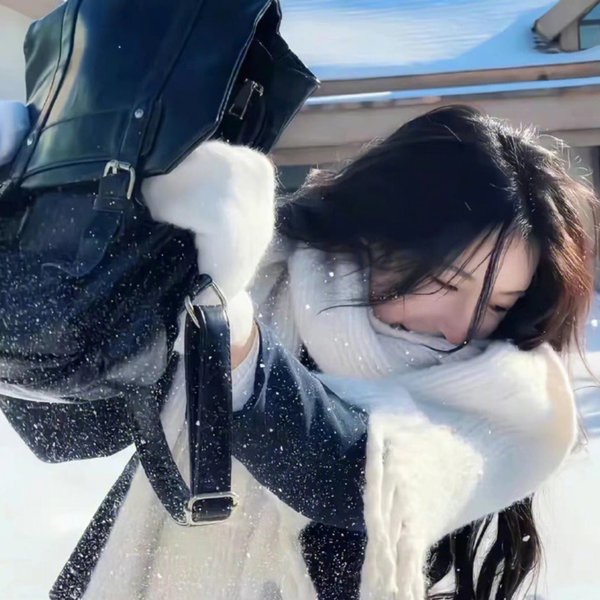 颠倒众生一美人 封面