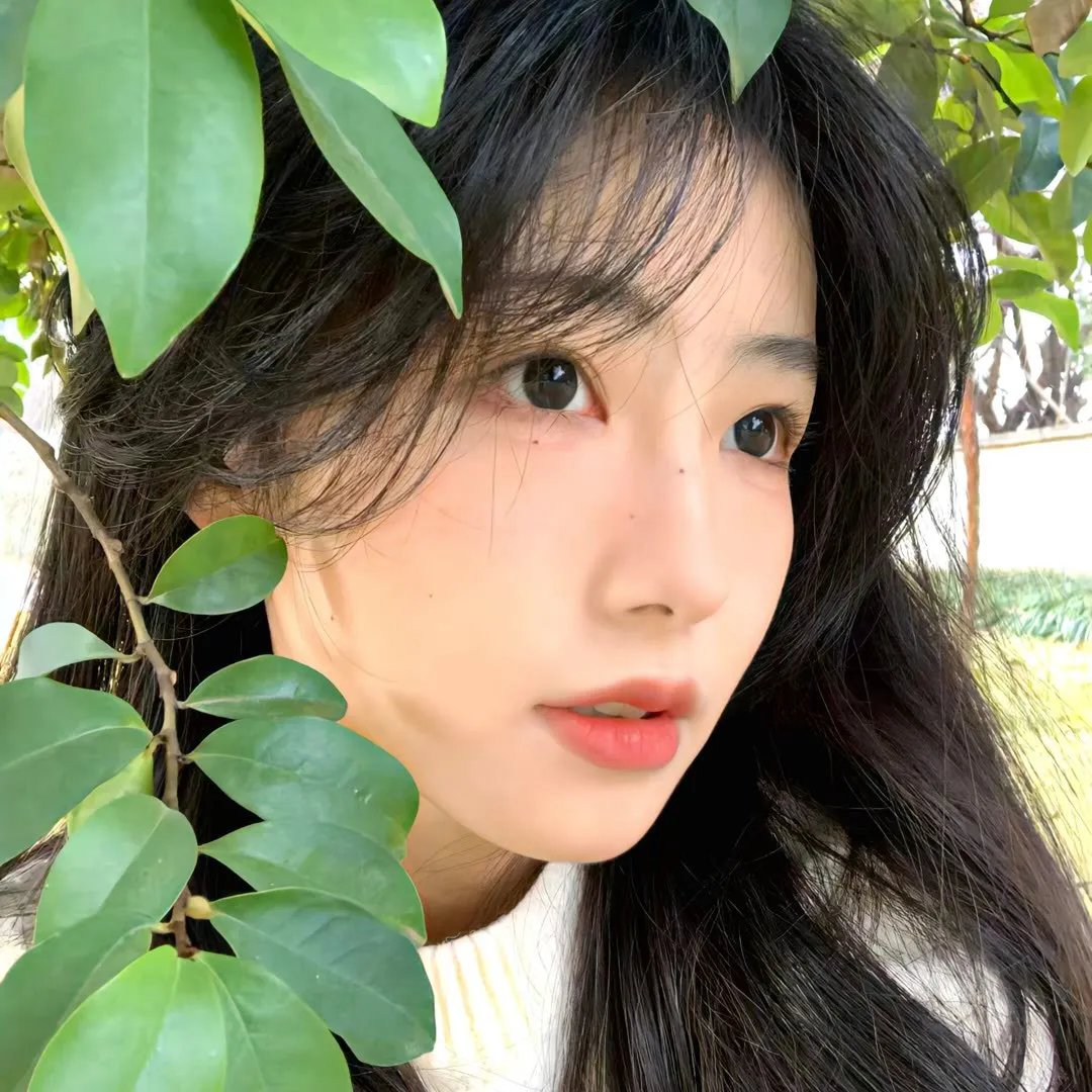 黑欲连环套 封面