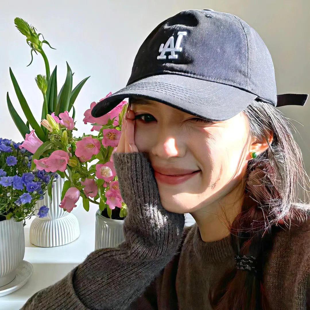 窥探 封面